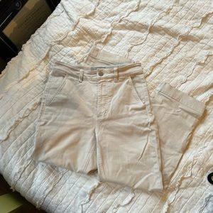 Everlane Straight Leg Crop Pants - Bone